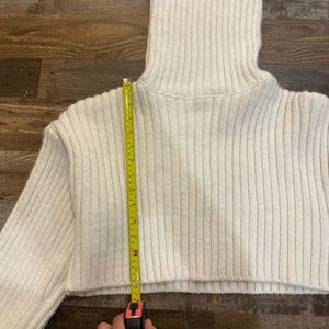 Zara Cropped Turtleneck Knute Sweater